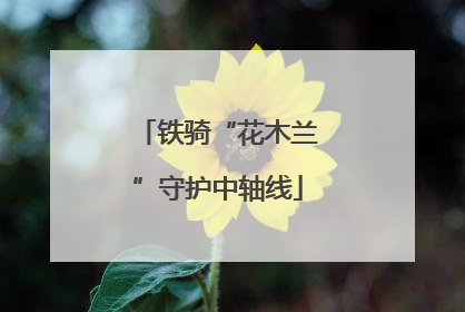 铁骑“花木兰”守护中轴线