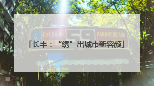 长丰：“绣”出城市新容颜
