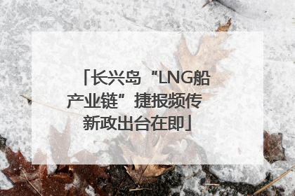 长兴岛“LNG船产业链”捷报频传 新政出台在即
