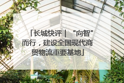 长城快评｜“向智”而行，建设全国现代商贸物流重要基地