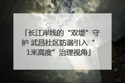 长江岸线的“双堤”守护 武昌社区防溺引入“1米高度”治理视角
