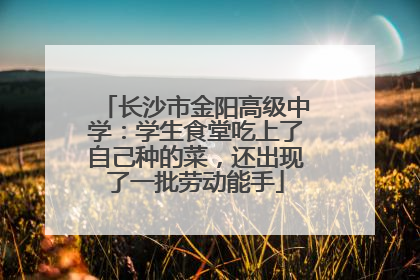 长沙市金阳高级中学：学生食堂吃上了自己种的菜，还出现了一批劳动能手
