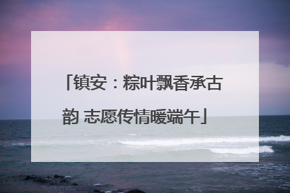 镇安：粽叶飘香承古韵 志愿传情暖端午