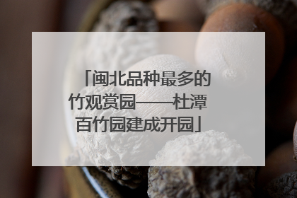 闽北品种最多的竹观赏园——杜潭百竹园建成开园