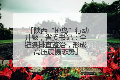 陕西“护鸟”行动升级，省委书记：全链条排查整治，形成高压震慑态势