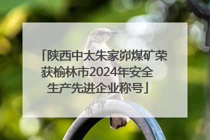 陕西中太朱家峁煤矿荣获榆林市2024年安全生产先进企业称号