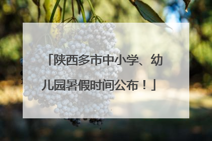 陕西多市中小学、幼儿园暑假时间公布！