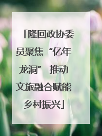 隆回政协委员聚焦“亿年龙洞” 推动文旅融合赋能乡村振兴