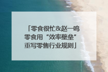 零食很忙&赵一鸣零食用“效率壁垒”重写零售行业规则