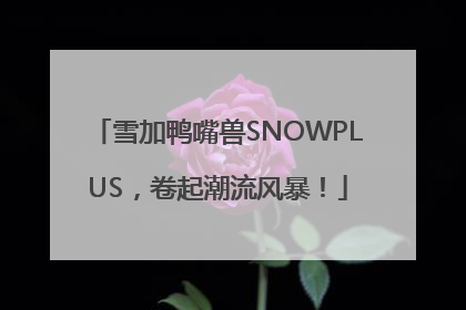 雪加鸭嘴兽SNOWPLUS，卷起潮流风暴！