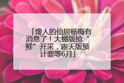 馋人的仙居杨梅有消息了！大棚版抢“鲜”开采，露天版预计要等6月