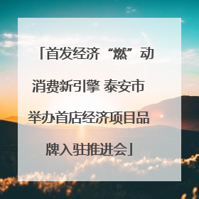 首发经济“燃”动消费新引擎 泰安市举办首店经济项目品牌入驻推进会