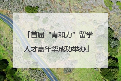 首届“青和力”留学人才嘉年华成功举办