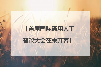 首届国际通用人工智能大会在京开幕