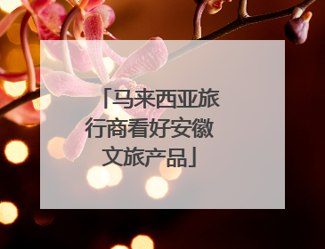 马来西亚旅行商看好安徽文旅产品