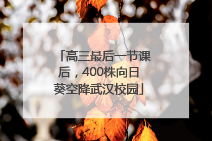 高三最后一节课后，400株向日葵空降武汉校园
