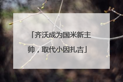 齐沃成为国米新主帅，取代小因扎吉