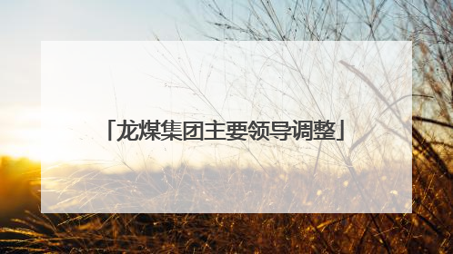 龙煤集团主要领导调整