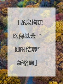 龙泉构建医保基金“即时结算”新格局