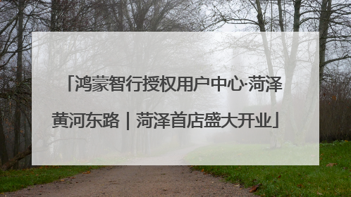 鸿蒙智行授权用户中心·菏泽黄河东路｜菏泽首店盛大开业