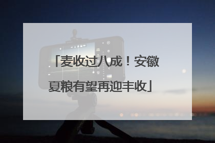 麦收过八成！安徽夏粮有望再迎丰收
