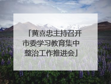 黄喜忠主持召开市委学习教育集中整治工作推进会