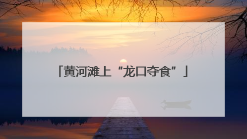 黄河滩上“龙口夺食”