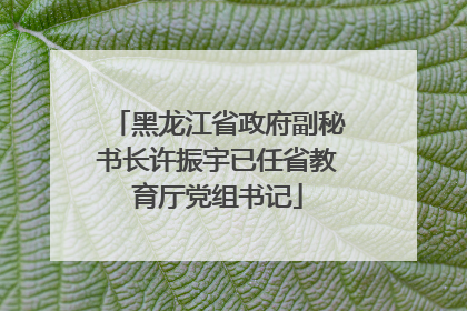 黑龙江省政府副秘书长许振宇已任省教育厅党组书记