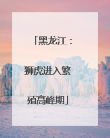 黑龙江：狮虎进入繁殖高峰期