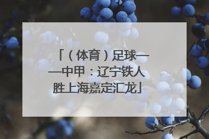 （体育）足球——中甲：辽宁铁人胜上海嘉定汇龙