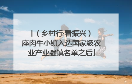 （乡村行·看振兴）一座肉牛小镇入选国家级农业产业强镇名单之后
