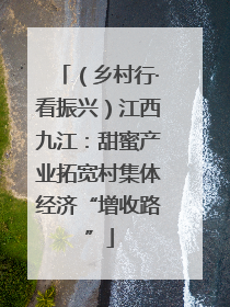 （乡村行·看振兴）江西九江：甜蜜产业拓宽村集体经济“增收路”