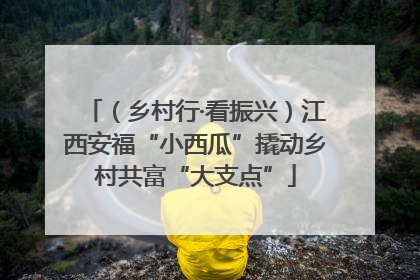 （乡村行·看振兴）江西安福“小西瓜”撬动乡村共富“大支点”