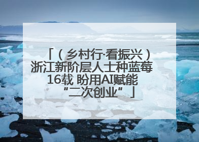 （乡村行·看振兴）浙江新阶层人士种蓝莓16载 盼用AI赋能“二次创业”