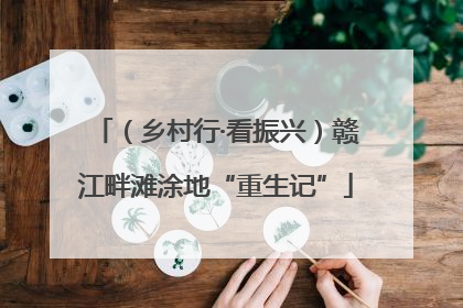（乡村行·看振兴）赣江畔滩涂地“重生记”