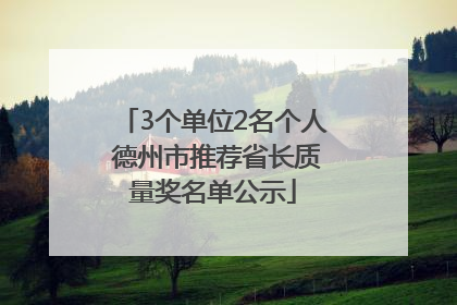 3个单位2名个人 德州市推荐省长质量奖名单公示