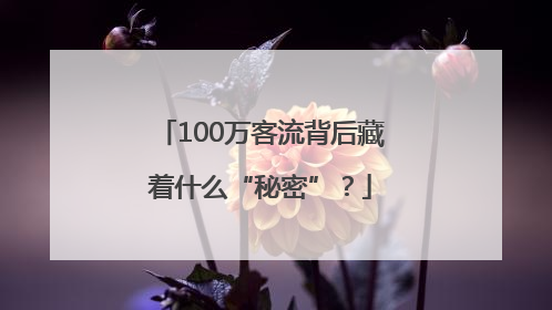 100万客流背后藏着什么“秘密”？