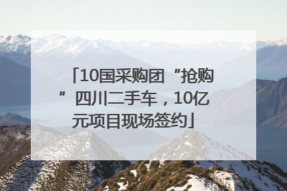 10国采购团“抢购”四川二手车，10亿元项目现场签约