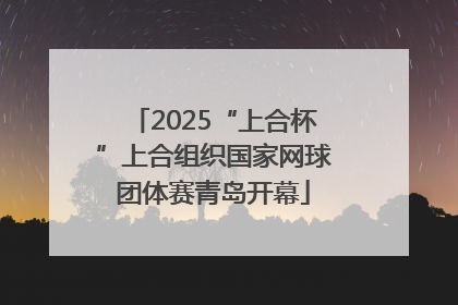 2025“上合杯”上合组织国家网球团体赛青岛开幕