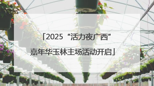 2025“活力夜广西”嘉年华玉林主场活动开启