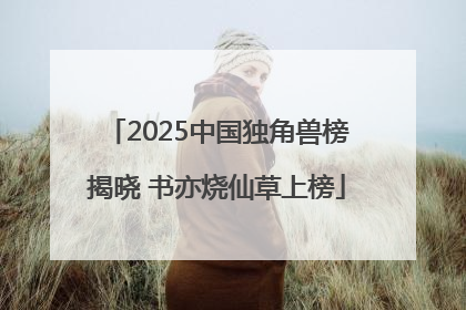 2025中国独角兽榜揭晓 书亦烧仙草上榜
