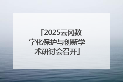 2025云冈数字化保护与创新学术研讨会召开