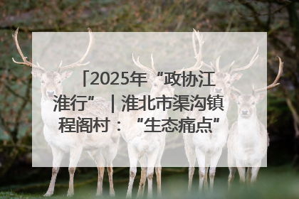 2025年“政协江淮行”｜淮北市渠沟镇程阁村：“生态痛点”变“生态景观”