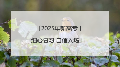 2025年新高考丨细心复习 自信入场