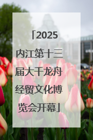 2025内江第十三届大千龙舟经贸文化博览会开幕
