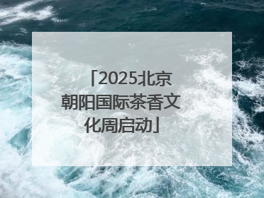 2025北京朝阳国际茶香文化周启动