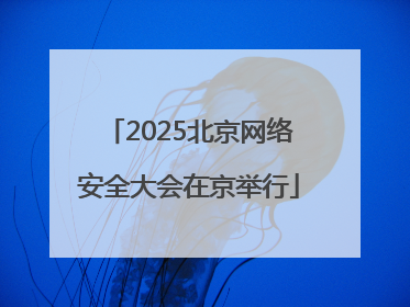 2025北京网络安全大会在京举行