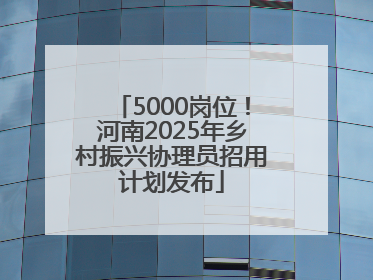 5000岗位！河南2025年乡村振兴协理员招用计划发布