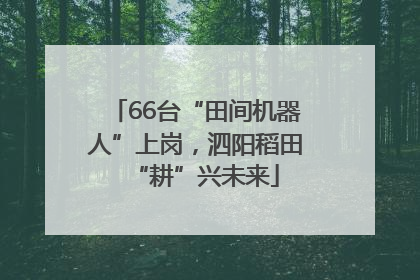 66台“田间机器人”上岗，泗阳稻田“耕”兴未来