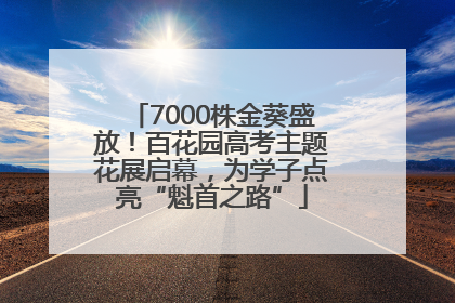 7000株金葵盛放！百花园高考主题花展启幕，为学子点亮“魁首之路”